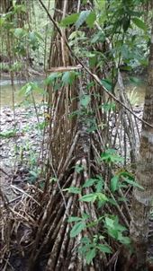 by a_and_a, Views[164]