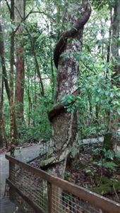 by a_and_a, Views[146]