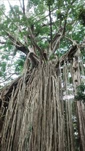 by a_and_a, Views[151]