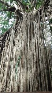 by a_and_a, Views[163]