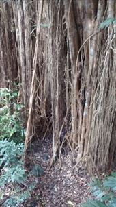 by a_and_a, Views[167]