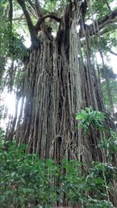 by a_and_a, Views[147]