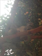 by a_and_a, Views[157]