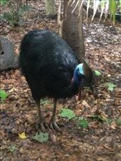 by a_and_a, Views[142]