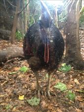 by a_and_a, Views[141]