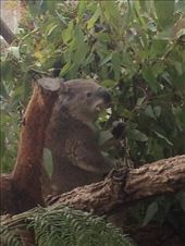 by a_and_a, Views[148]