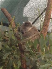 by a_and_a, Views[140]