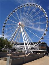 Wheel of Brisbane: by a_and_a, Views[158]