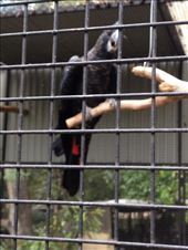 by a_and_a, Views[157]