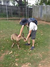 by a_and_a, Views[132]