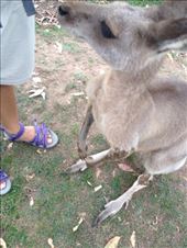 by a_and_a, Views[123]