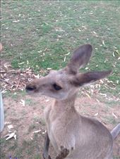 by a_and_a, Views[128]