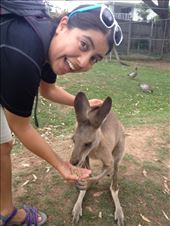 by a_and_a, Views[118]