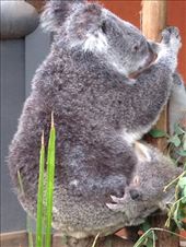 by a_and_a, Views[135]