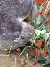 by a_and_a, Views[119]