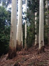 by a_and_a, Views[124]