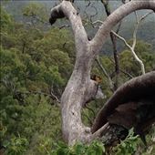 by a_and_a, Views[134]