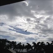 Incoming skydivers!!: by a_and_a, Views[126]