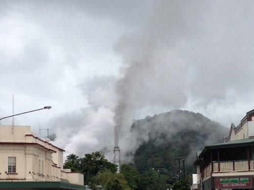 Daintree Rainforest tour