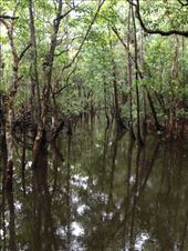 by a_and_a, Views[171]