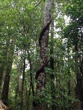 by a_and_a, Views[147]