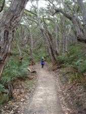 by a_and_a, Views[173]