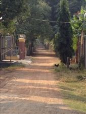 by a_and_a, Views[339]