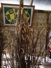 by a_and_a, Views[338]