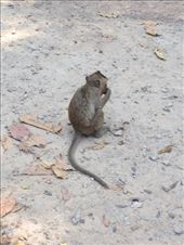 by a_and_a, Views[163]