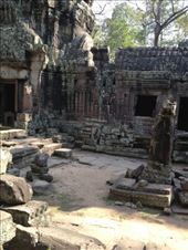 by a_and_a, Views[184]