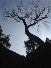 by a_and_a, Views[141]