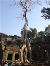 by a_and_a, Views[121]