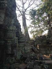 by a_and_a, Views[136]