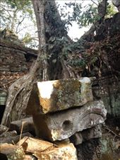 by a_and_a, Views[137]