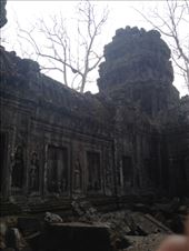 by a_and_a, Views[167]