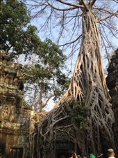 by a_and_a, Views[154]