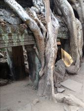 by a_and_a, Views[150]