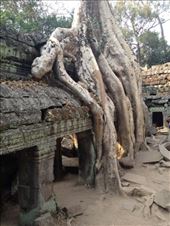 by a_and_a, Views[140]