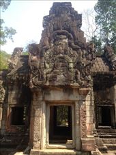 by a_and_a, Views[135]