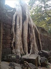 by a_and_a, Views[151]