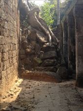 by a_and_a, Views[141]