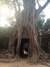 by a_and_a, Views[145]