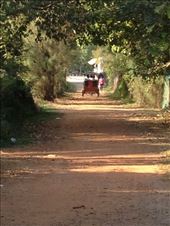 bye friends!!: by a_and_a, Views[132]