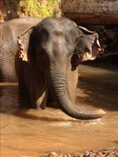 by a_and_a, Views[139]