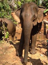 by a_and_a, Views[124]