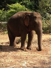 by a_and_a, Views[153]