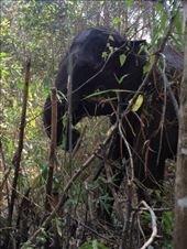 by a_and_a, Views[155]