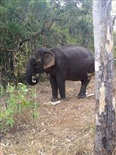 by a_and_a, Views[147]