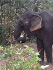 by a_and_a, Views[158]