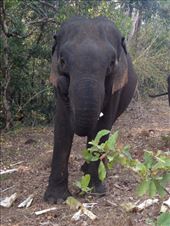 by a_and_a, Views[153]